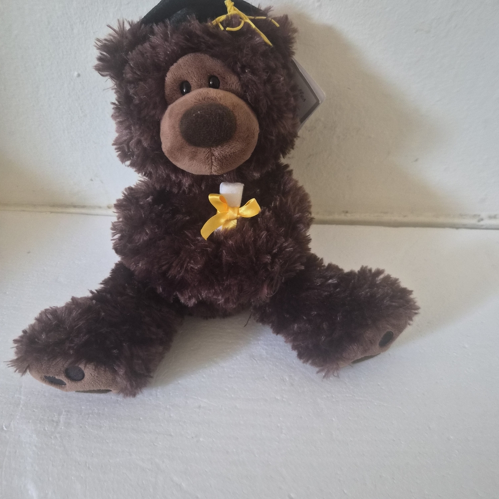 AURORA GRADUATION BRANSON BEAR "CUDDLES THE BEAR"